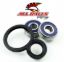 WHEEL BEARING AND SEAL KIT