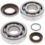 ALL-BALL S CRANK BEARINGS