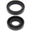 ALL BALLS CRANK SHAFT SEAL KIT