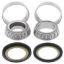 ALL BALLS RACING STEERING BEARING KIT