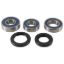 ALL BALLS RACING WHEEL BEARING KIT