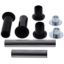 ALL BALLS RACING REAR INDEPENDENT SUSPENSION KNUCKLE ONLY KIT