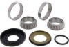 ALL BALLS RACING STEERING BEARING KIT