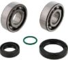 ALL BALLS RACING CRANK BEARING KIT
