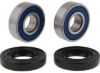 ALL BALLS RACING WHEEL BEARING KIT