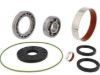 ALL BALLS RACING DIFFERENTIAL KIT