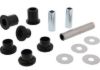 ALL BALLS RACING REAR IND. KNUCKLE SIDE KIT