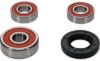 PIVOT WORKS WHEEL BEARING KIT PREMIUM BEARINGS