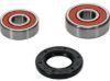 PIVOT WORKS WHEEL BEARING KIT PREMIUM BEARINGS