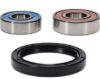 PIVOT WORKS WHEEL BEARING KIT PREMIUM BEARINGS