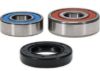 PIVOT WORKS WHEEL BEARING KIT PREMIUM BEARINGS