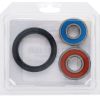 PIVOT WORKS WHEEL BEARING KIT PREMIUM BEARINGS