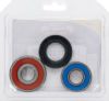 PIVOT WORKS WHEEL BEARING KIT PREMIUM BEARINGS
