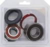PIVOT WORKS WHEEL BEARING KIT PREMIUM BEARINGS