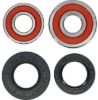 PIVOT WORKS WHEEL BEARING KIT PREMIUM BEARINGS