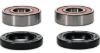 PIVOT WORKS WHEEL BEARING KIT PREMIUM BEARINGS