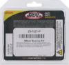 PIVOT WORKS WHEEL BEARING KIT PREMIUM BEARINGS