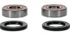 PIVOT WORKS WHEEL BEARING KIT PREMIUM BEARINGS