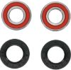 PIVOT WORKS WHEEL BEARING KIT PREMIUM BEARINGS