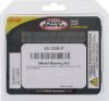 PIVOT WORKS WHEEL BEARING KIT PREMIUM BEARINGS
