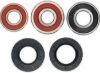 PIVOT WORKS WHEEL BEARING KIT PREMIUM BEARINGS