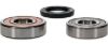 PIVOT WORKS WHEEL BEARING KIT PREMIUM BEARINGS