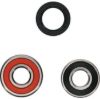 PIVOT WORKS WHEEL BEARING KIT PREMIUM BEARINGS