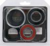 PIVOT WORKS WHEEL BEARING KIT PREMIUM BEARINGS