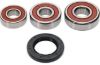 PIVOT WORKS WHEEL BEARING KIT PREMIUM BEARINGS
