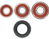 PIVOT WORKS WHEEL BEARING KIT PREMIUM BEARINGS