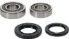 PIVOT WORKS WHEEL BEARING KIT PREMIUM BEARINGS