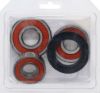 PIVOT WORKS WHEEL BEARING KIT PREMIUM BEARINGS