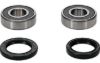PIVOT WORKS WHEEL BEARING KIT PREMIUM BEARINGS
