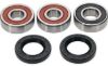 PIVOT WORKS WHEEL BEARING KIT PREMIUM BEARINGS