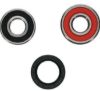 PIVOT WORKS WHEEL BEARING KIT PREMIUM BEARINGS