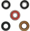 PIVOT WORKS WHEEL BEARING KIT PREMIUM BEARINGS