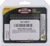 PIVOT WORKS WHEEL BEARING KIT PREMIUM BEARINGS
