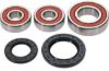 PIVOT WORKS WHEEL BEARING KIT PREMIUM BEARINGS
