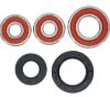 PIVOT WORKS WHEEL BEARING KIT PREMIUM BEARINGS