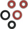 PIVOT WORKS WHEEL BEARING KIT PREMIUM BEARINGS
