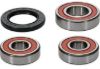 PIVOT WORKS WHEEL BEARING KIT PREMIUM BEARINGS