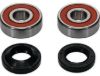 PIVOT WORKS WHEEL BEARING KIT PREMIUM BEARINGS