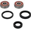 PIVOT WORKS WHEEL BEARING KIT PREMIUM BEARINGS