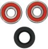 PIVOT WORKS WHEEL BEARING KIT PREMIUM BEARINGS