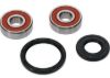 PIVOT WORKS WHEEL BEARING KIT PREMIUM BEARINGS