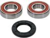 PIVOT WORKS WHEEL BEARING KIT PREMIUM BEARINGS