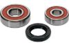 PIVOT WORKS WHEEL BEARING KIT PREMIUM BEARINGS