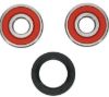 PIVOT WORKS WHEEL BEARING KIT PREMIUM BEARINGS