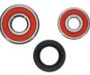 PIVOT WORKS WHEEL BEARING KIT PREMIUM BEARINGS