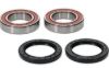 PIVOT WORKS WHEEL BEARING KIT PREMIUM BEARINGS